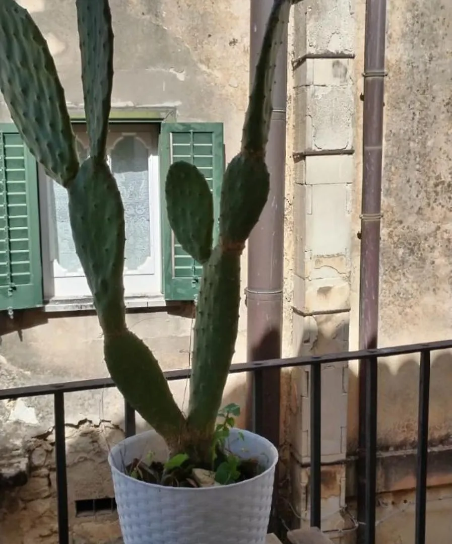 Residenza Donnafugata B&B Ragusa 3*,  Itálie